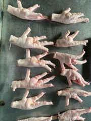 chicken feet/paws – product photo 4, product detail gallery