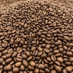 Organic Coffee Beans Carefully Selected Rich Aroma Smooth Texture Bulk Export Supply - Image 2