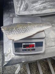 Frozen Mullet Fillet - Image 3