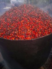 Palm oil - Image 4