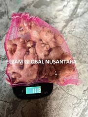 Fresh Elephant Ginger Premium Quality / Indonesian Spices Wholesale Export Supplier - Image 2