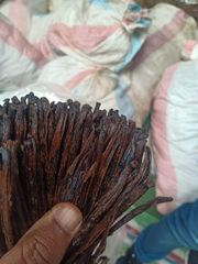 vanilla pods/vanilla beans/vanilla grade A - Image 3
