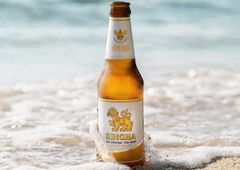 Wholesale Singha Thai lager beer for sale with crisp flavor and premium quality - Image 2