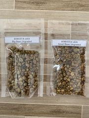 IJEN RAW COFFEE BEANS – product photo 1, product detail gallery