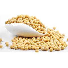 Wholesale Ukraine & Brazil Organic Non-Gmo Soyabean Yellow Soybean Soja Soya Beans - Image 4