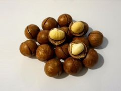 High quality Macadamia Nuts with Shell and Cashew From Vietnam For EU Market ( Linda/ WS+84 989 322 607) – product photo 3, product detail gallery