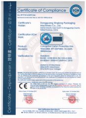 certificate certificate from DONGGUANG XINGLONG PACKAGING MACHINERY CO., LTD.