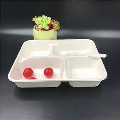 New trending disposable biodegradable tableware 4 compartment sugarcane bagasse meat tray for supermarket - Image 2