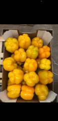 Peppers - Image 2