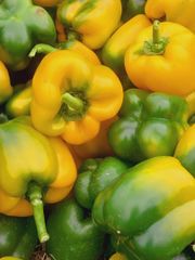 Bellpepper – product photo 1, product detail gallery