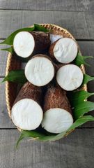 Frozen Cassava Crystal - Image 4