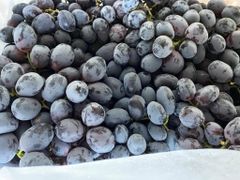 Black Seedless Autumn Royal Grapes CLASS 1 Export Quality from South Africa! NEW CROPS!! - Image 2