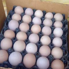 Brown table eggs - Image 2
