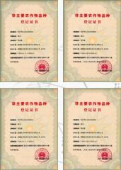 Certificates certificate from Yantai Lvye Tianyuan Seed Industry Co., Ltd