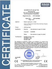 SD Floodlight EMC certificate from Rayborn Lighting Industry Co., Ltd.