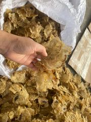 Cat Fish Maw Dry Texture Natural Shape Open & Close Flavor Natural Flavor Compliance International Food Safety Standards - Image 3
