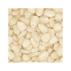 Bulk white maize for sale ideal for wholesalers and distributors - Image 4