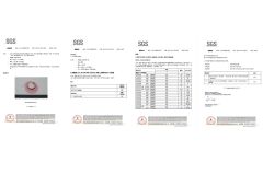 SGS certification certificate from Putian Chengqiu Hui Trading Co., Ltd.