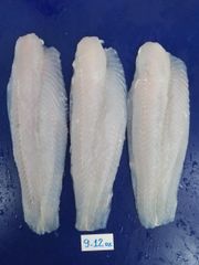 Frozen Pangasius Fillet 220-400 Size 9-12oz Net Weight - Image 3