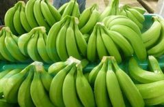 Fresh Cavendish Banana – product photo 2, product detail gallery