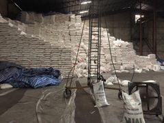 Sugar cane - Image 2