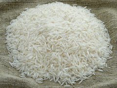 1121 Premium Indian Basmati  Sortex Rice – Long-Grain, Naturally Aromatic, Max 3% Broken & Max 12.5% Moisture – product photo 3, product detail gallery