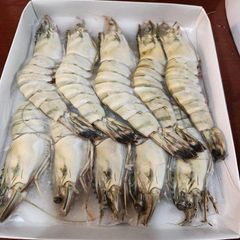 Frozen Shrimps
