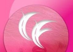 Lingeriesharp Garment Co., Ltd