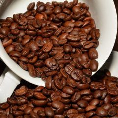 Vietnam Robusta Coffee Bean Export to EU, Korea, USA High Quality Low Price Wholesale for Roasted / Green Coffee Beans – product photo 5, product detail gallery