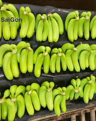 Fresh Green Cavendish Banana – Vietnam Export Quality Supplier - Image 2