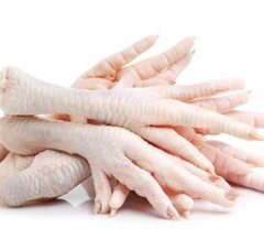Grade A Halal Frozen Chicken Feet - Image 1