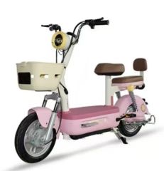 Holladay Electric Bike with 3-Speed Gears Lead Acid Battery Electric Moped - Tianjin Holladay Technology Co., Ltd.