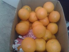NAVEL - Image 1