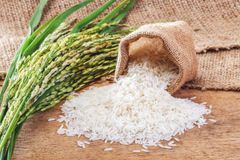 Basmati Rice 1121 variants. - Image 1