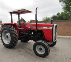 Massey Ferguson 290/Massey Ferguson 290 Tractor / Used Agricultural Tractors Massey Ferguson – product photo 2, product detail gallery