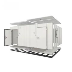 Hot Sell Walk in Freezer Cold Room Refrigeration Equipment Modular Cold Room Storage - Image 6