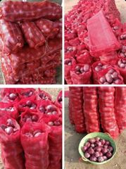 Fresh onion - Image 1