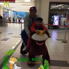 Hansel Attractive Coin Operated Dog Electric Animal Ride for Supermarket - Image 2