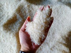 Long Grain White Rice 5% broken - Image 2
