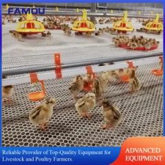 Poultry Broiler Feeding System Feed Pan in Chicken Floor Rearing Farm - Image 2