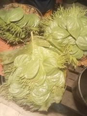 Fresh Bangla Betel Leaves Export quality – product photo 1, product detail gallery