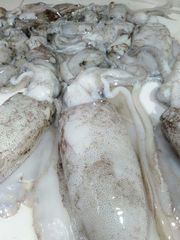 Frozen squid – product photo 2, product detail gallery