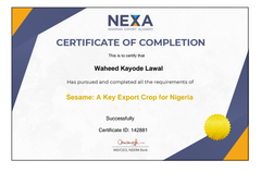 NEXA certificate of Look Agric Allied Limited  – certificate photo, supplier certificates section