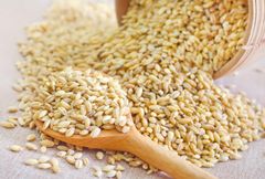 Wholesale Price Milling Wheat for Food Manufacturers Seeking Quality Grain for Flour Production - Image 2