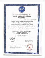 ISO9001 certificate from Shandong Loyal Industrial Co., Ltd.