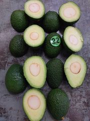Hass Avocado – product photo 4, product detail gallery