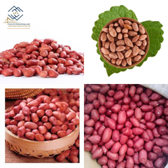 Premium Grade Sudanese Raw Groundnuts In-Shell and Shelled Bold Peanuts - Image 5