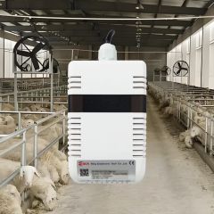 High Accuracy Nh3 Meter with 0-100ppm Range for Gas Detection - Hunan Rika Electronic Tech Co., Ltd.