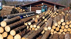 SPRUCE LOGS Grade AA Species Spruce Logs Minimum Trial Volume 450m3 Max. Moisture (%) FRESH CUT Average Container Load Volume 3.000m3 - Image 1