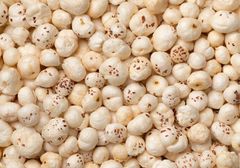 makhana(fox nuts) Packaging as per buyer requiring Brand Name as per buyer - Image 1